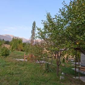 In Sheki nan acre land is for sale - Image 6