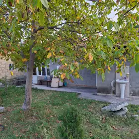 In Sheki nan acre land is for sale - Image 9