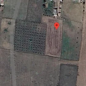 In nan nan acre land is for sale - Image 2