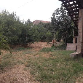 Bilasuvar-da 6.0 otaqlı 240.0 m2 bağ satılır - Şəkil 9