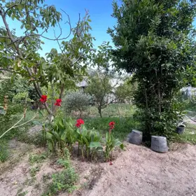 In nan 200.0 m² house with 6.0 rooms is for sale - Image 2
