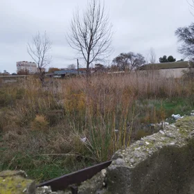 In Sumgayit nan acre land is for sale - Image 4