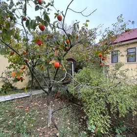 In Sabunçu rayonu 200.0 m² house with 4.0 rooms is for sale - Image 3