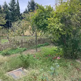 In Sabunçu rayonu 200.0 m² house with 4.0 rooms is for sale - Image 6