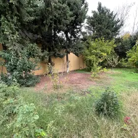 In Sabunçu rayonu 200.0 m² house with 4.0 rooms is for sale - Image 7